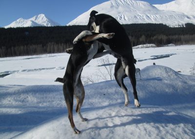 MAMA AND HER SON TUDE